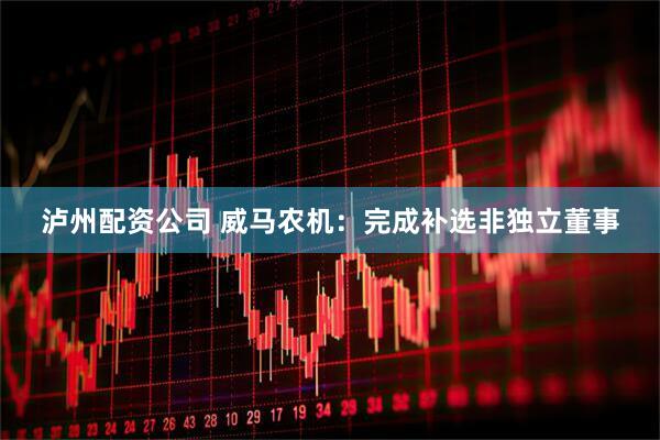 泸州配资公司 威马农机：完成补选非独立董事
